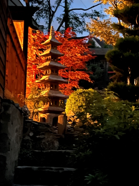 Japanese Garden Bristol